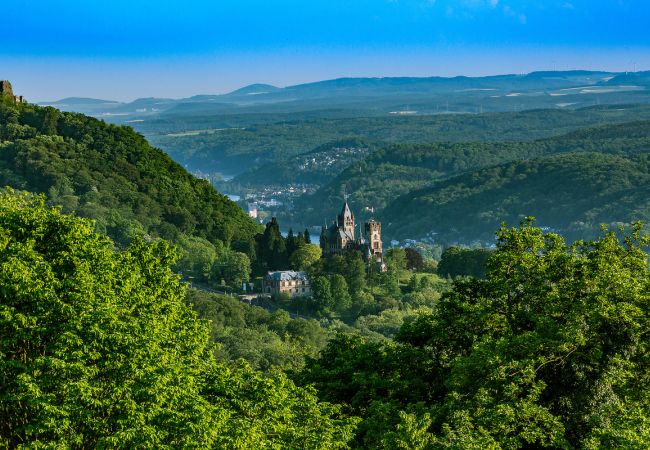 Deutschlands schönste Weinregionen & Rhein in Flammen